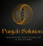 Punjab Solution